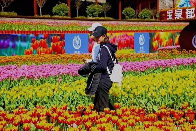 明泰铝业铝板厂家组织员工宝泉游玩